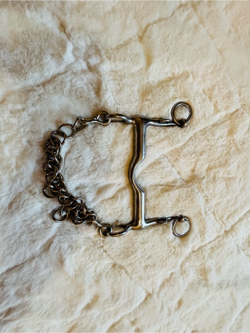 Antique style Stainless Steel Horse Bit with Chain - Silver - Picture 5 of 9